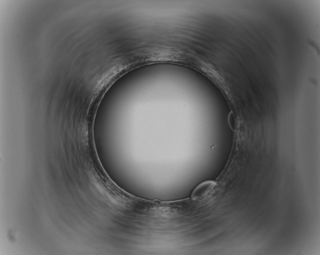 X0000103400298200809191528