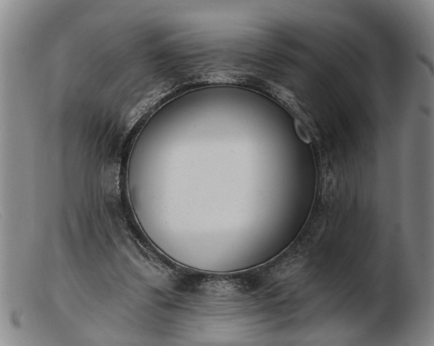 X0000103400299200809191528