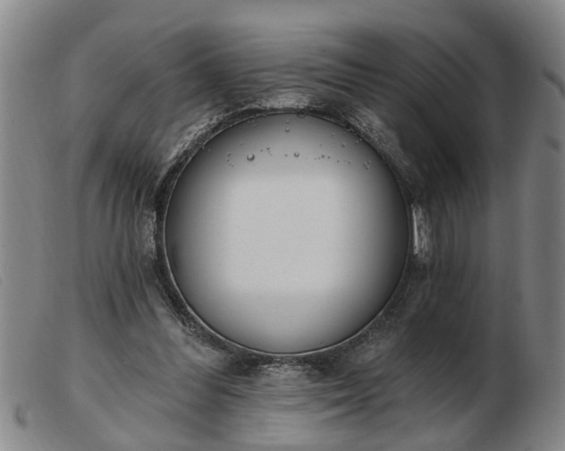 X0000103400300200809191528