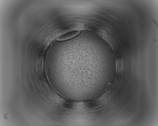 X0000103400301200809191528