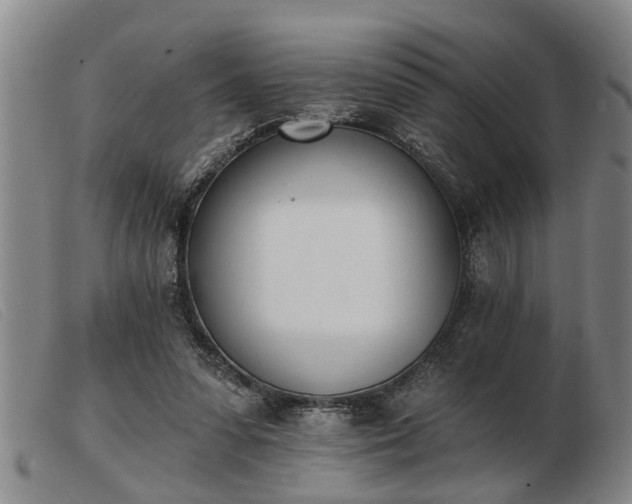 X0000103400303200809191528