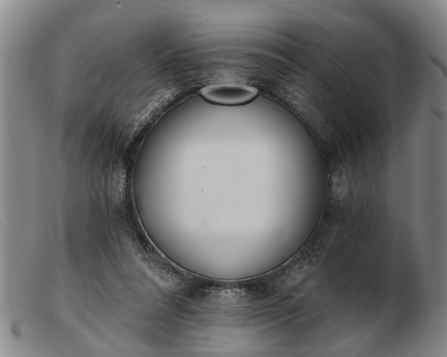 X0000103400304200809191528