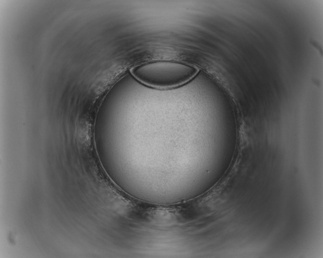 X0000103400305200809191528