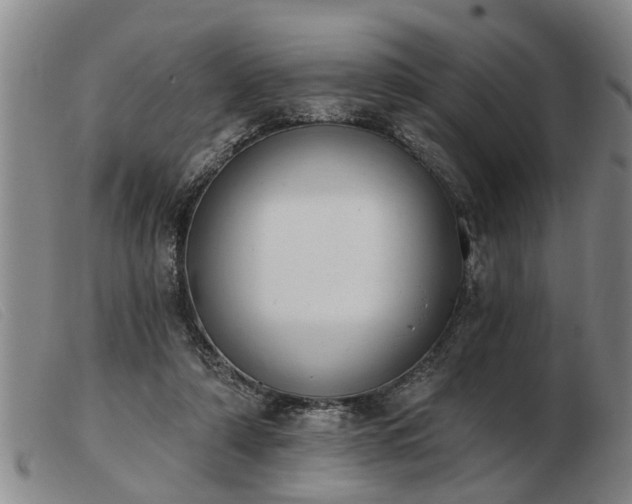 X0000103400306200809191528