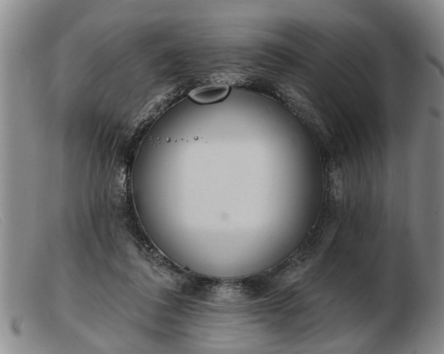 X0000103400308200809191528