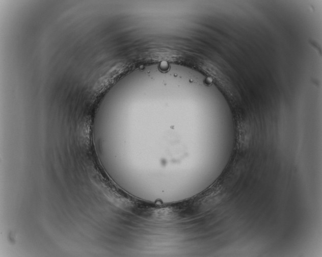 X0000103400309200809191528