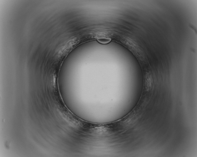 X0000103400310200809191528