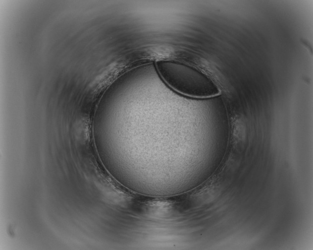 X0000103400313200809191528