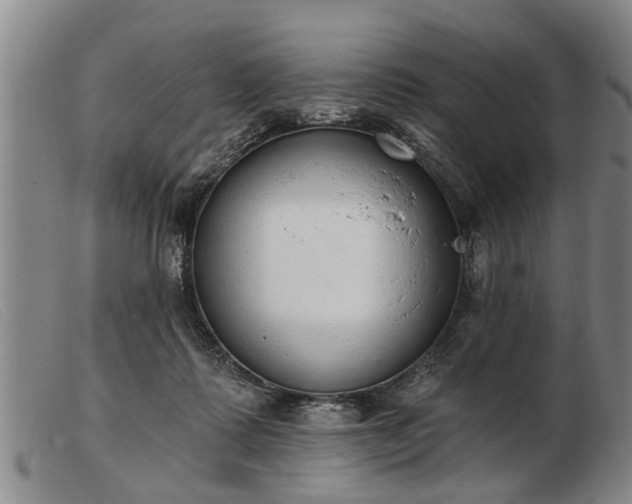 X0000103400315200809191528