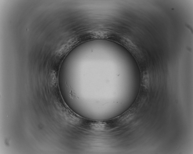 X0000103400318200809191528