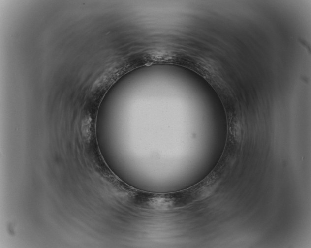 X0000103400319200809191528