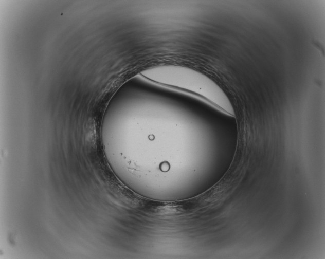 X0000103400320200809191528