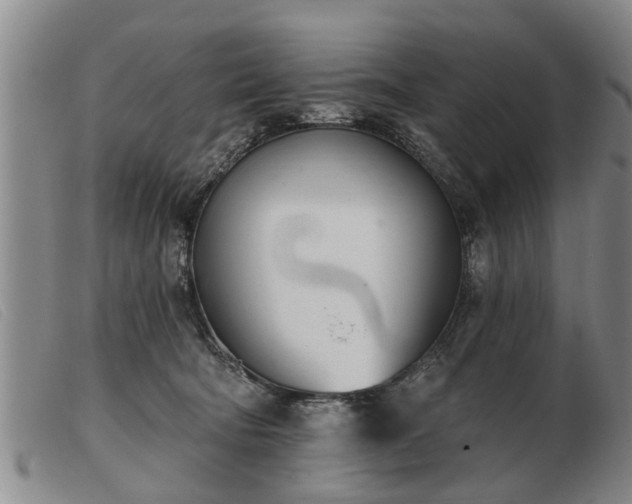 X0000103400322200809191528