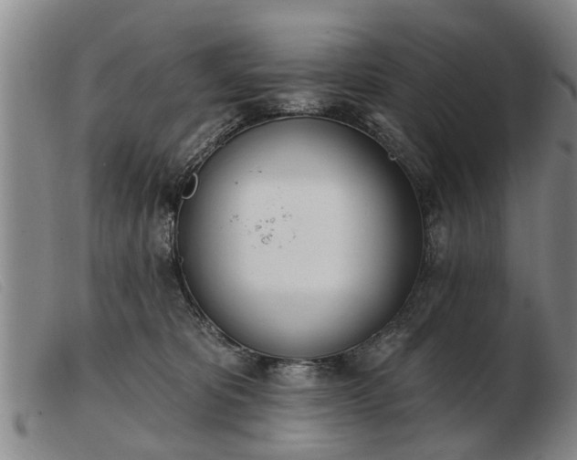 X0000103400325200809191528