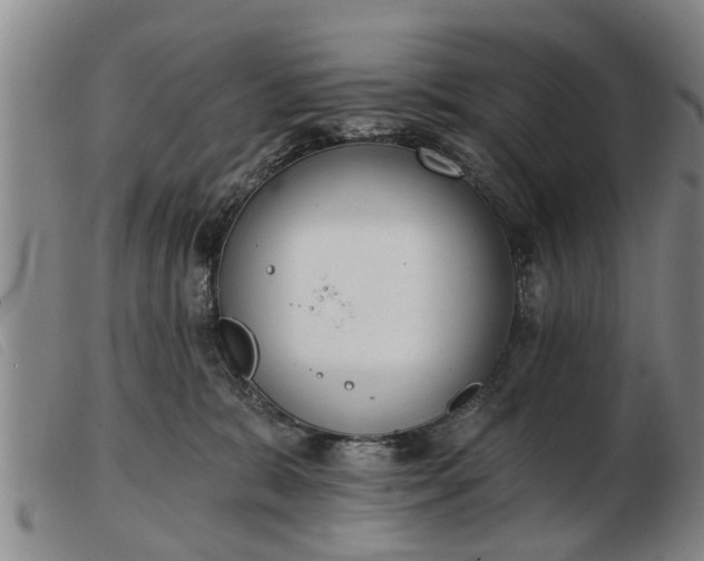 X0000103400327200809191527