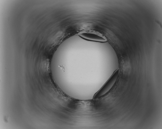 X0000103400328200809191527