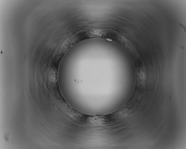 X0000103400331200809191527