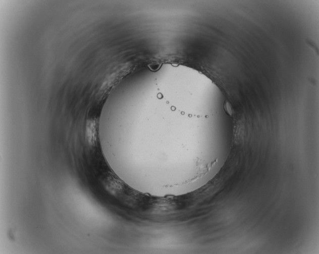 X0000103400335200809191527