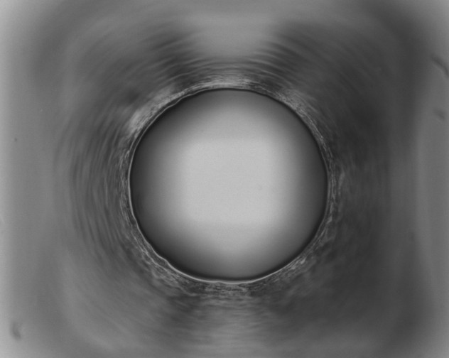 X0000103400337200809191527