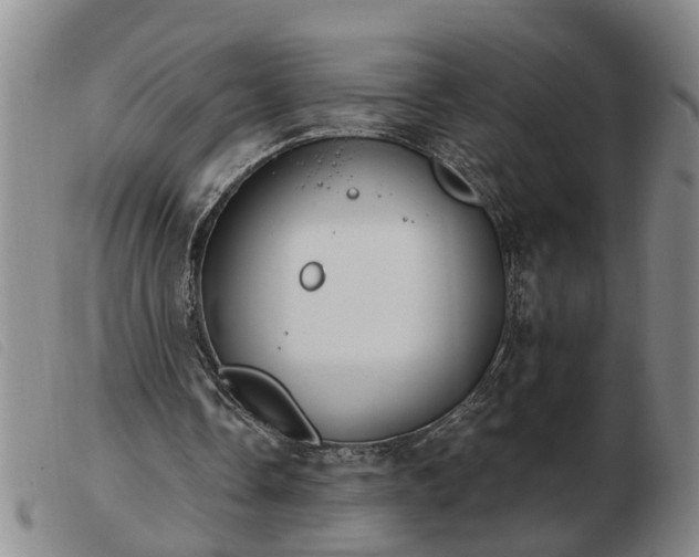 X0000103400338200809191527