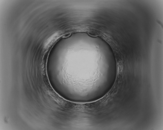 X0000103400339200809191527