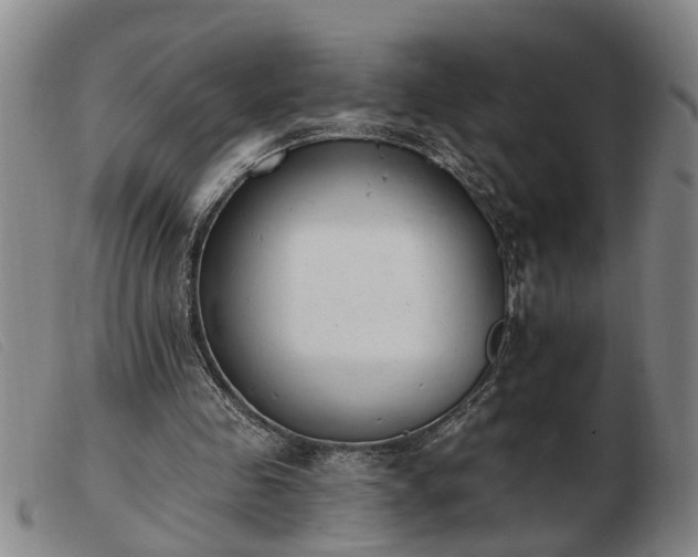 X0000103400341200809191527