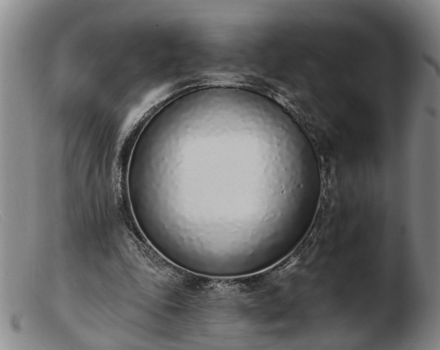 X0000103400343200809191527