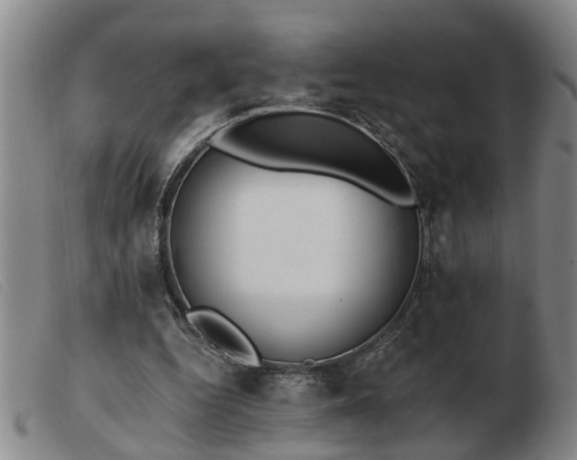 X0000103400344200809191527