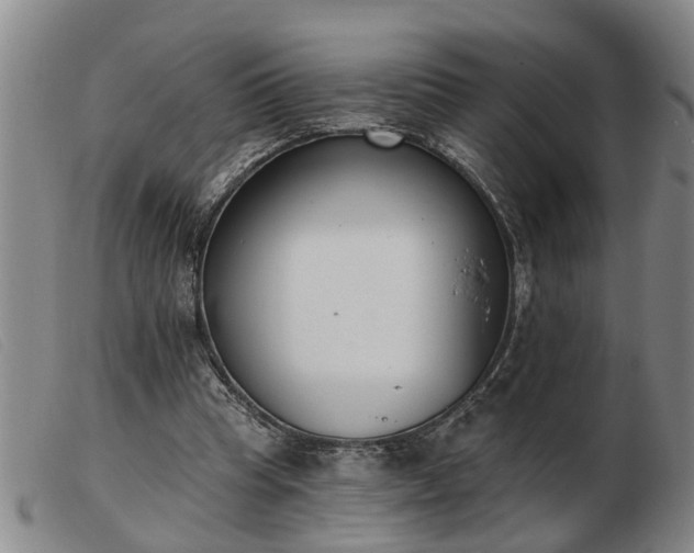 X0000103400345200809191527