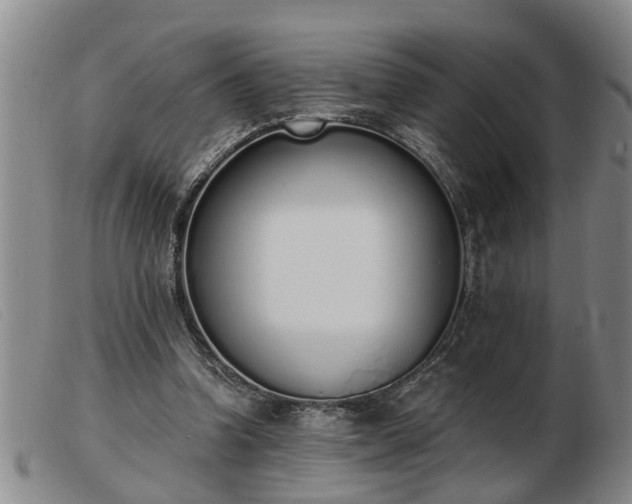 X0000103400346200809191527