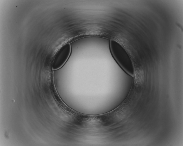 X0000103400348200809191527