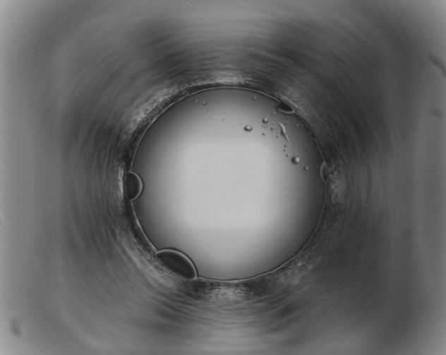 X0000103400350200809191527