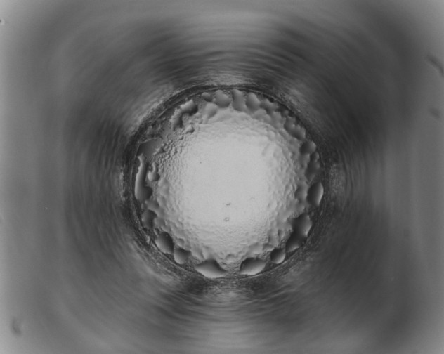 X0000103400351200809191527