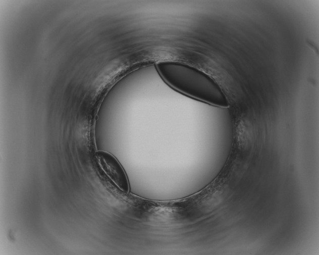 X0000103400352200809191527