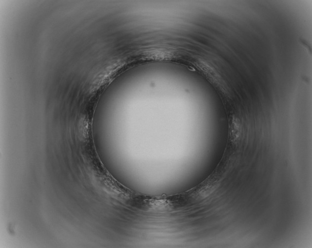 X0000103400355200809191527