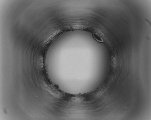 X0000103400356200809191527