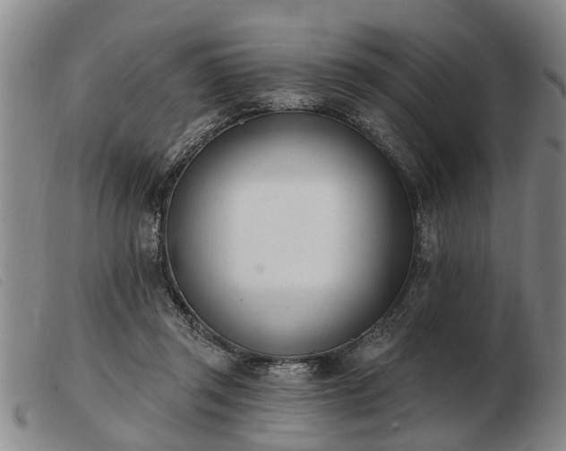 X0000103400357200809191527