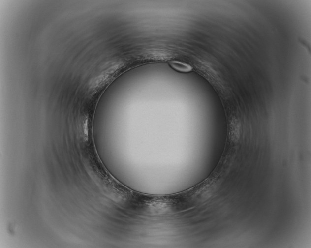 X0000103400358200809191527