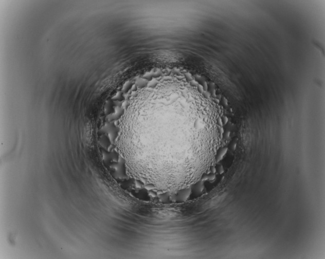 X0000103400359200809191527