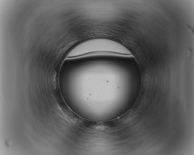 X0000103400360200809191527