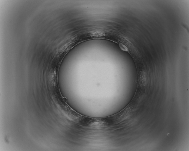 X0000103400364200809191527