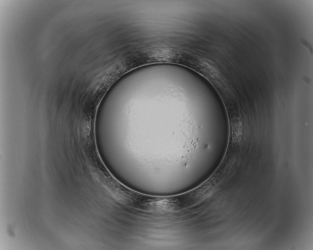 X0000103400365200809191527