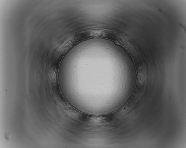 X0000103400375200809191527