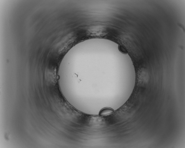 X0000103400376200809191527