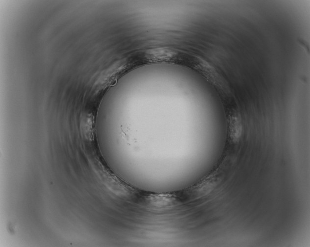 X0000103400378200809191527