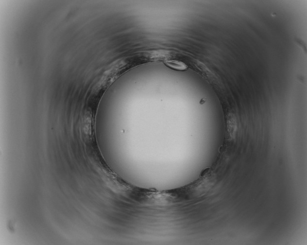 X0000103400379200809191527