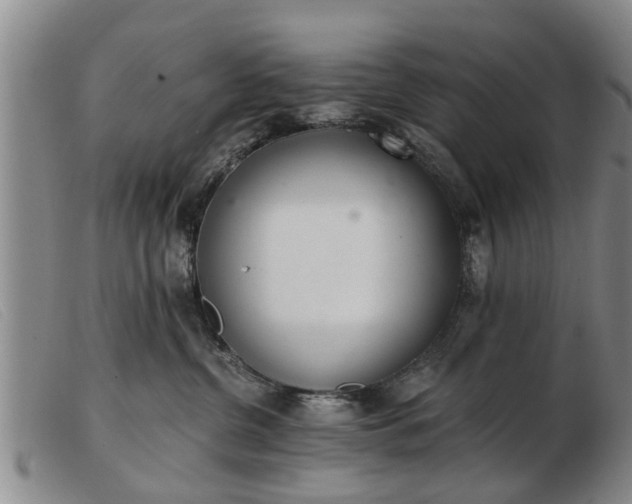 X0000103400380200809191527