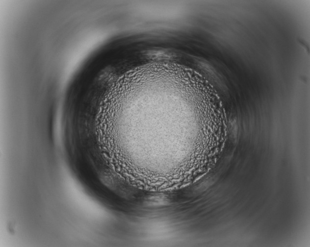 X0000103400381200809191527