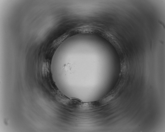 X0000103400382200809191527