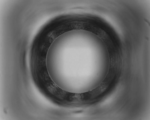 X0000103400383200809191527